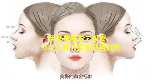 伊莱美整形二级资 🐛 质下费用价格如何